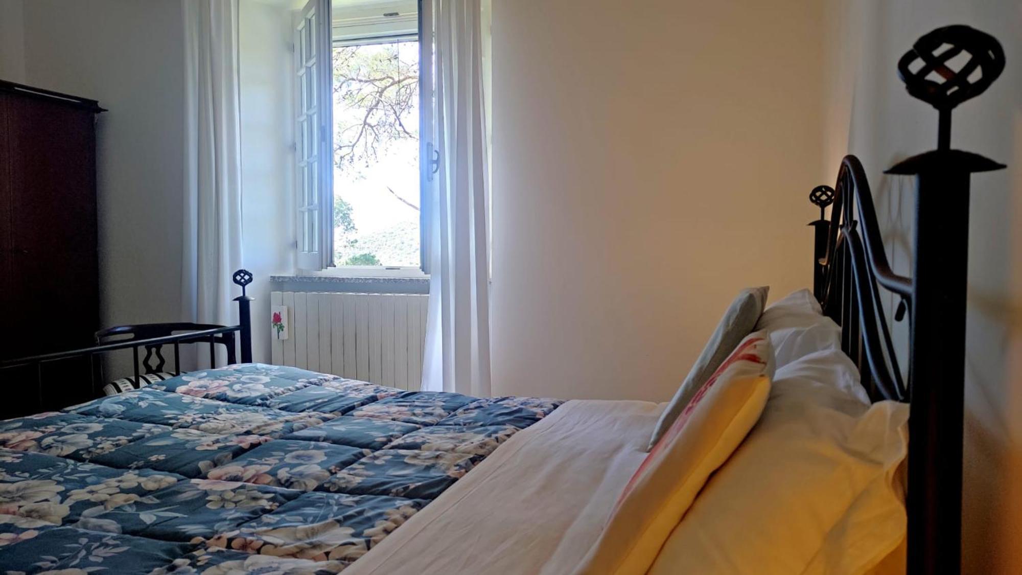 Aragonite Azzurra Casa *