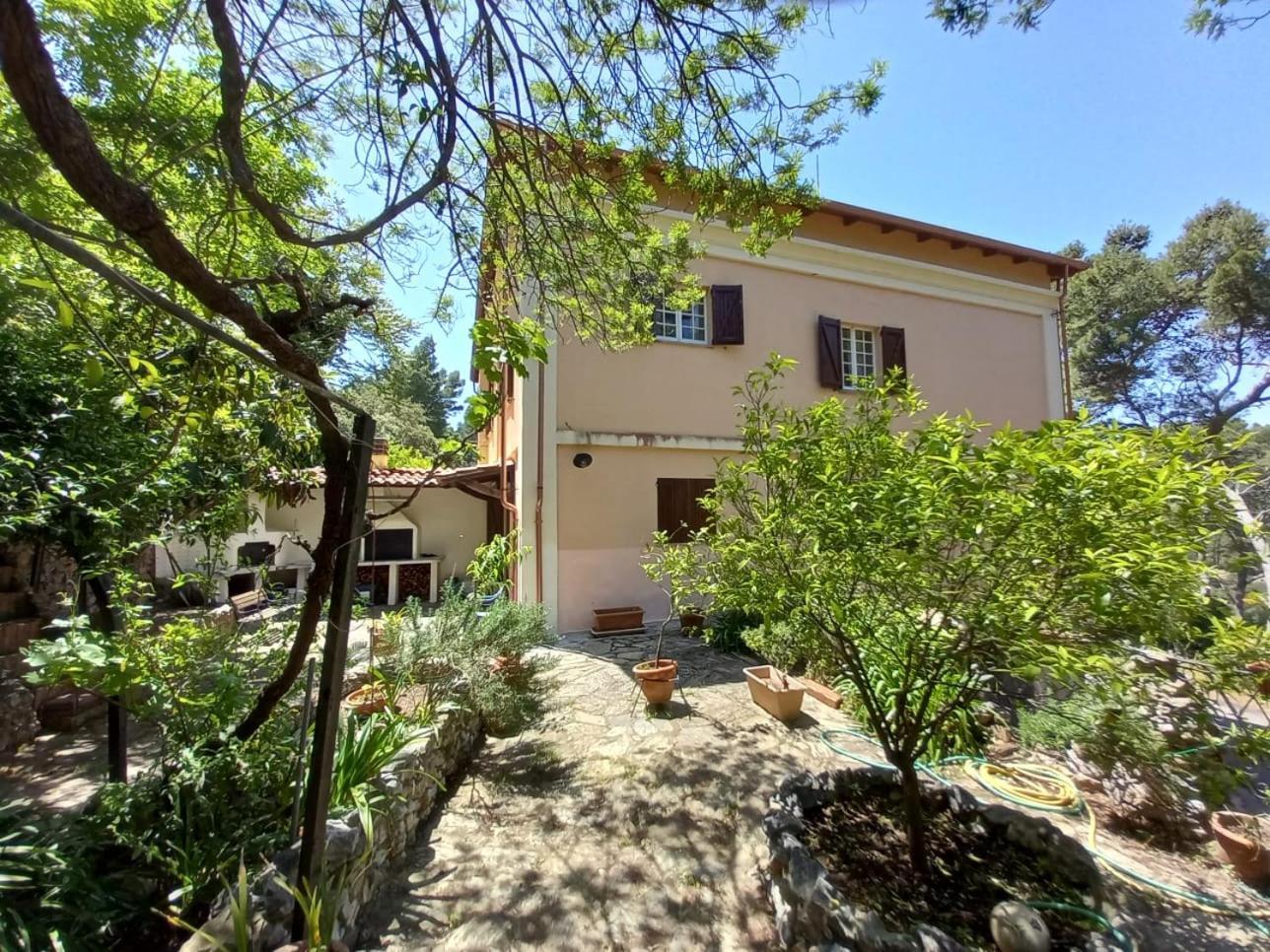 Aragonite Azzurra Casa